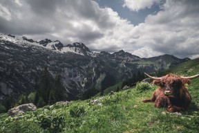 开云体育下载官网-世界上最奇怪的足球比赛和规则揭秘，世界上最奇葩的足球进球